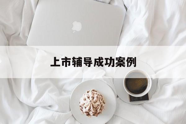 上市辅导成功案例(上市辅导成功后肯定会上市吗)哈密市